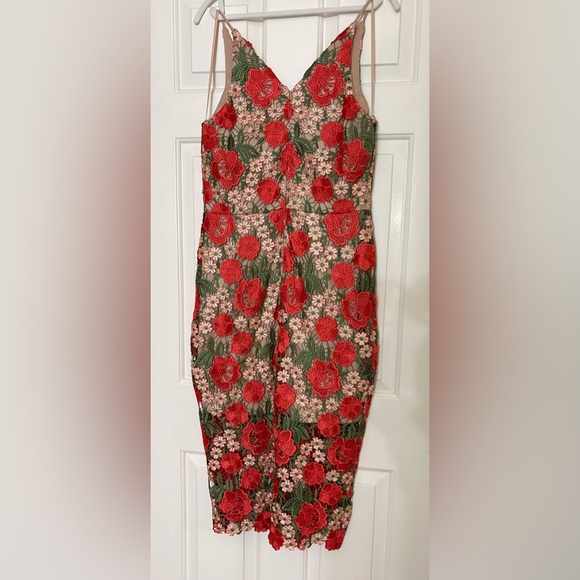 Xscape (Macy’s) Blush Dress with Red and Green Floral Crochet Embroidery - Picture 6 of 9